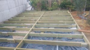 20161102_101620 (Medium)